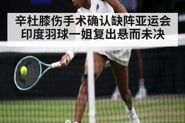 辛杜膝伤手术确认缺阵亚运会 印度羽球一姐复出悬而未决